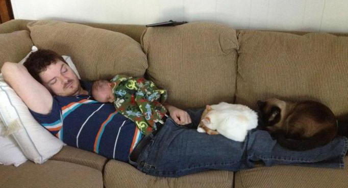 Image result for napping with cats
